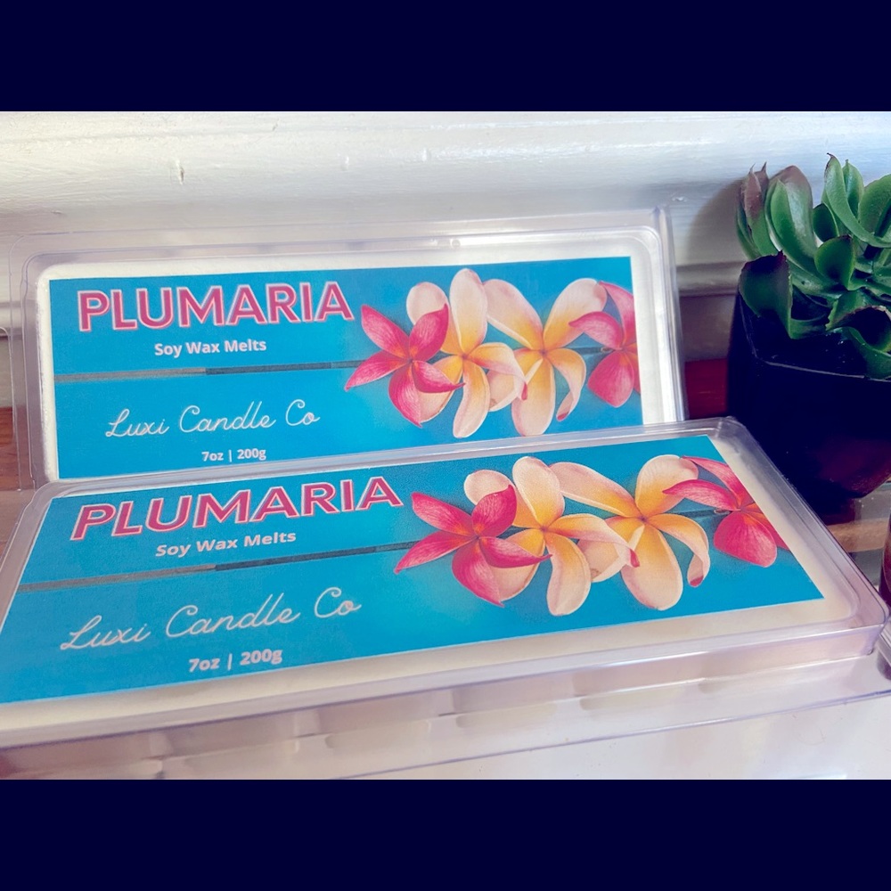 7oz All-Natural Soy Scented Wax (Large 12 cubes)